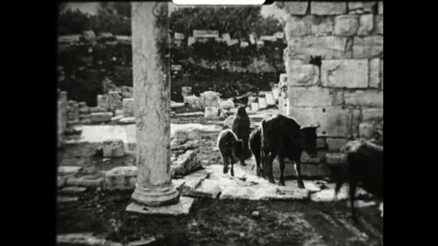 The Capital of Dougga Stock Footage 83603242
