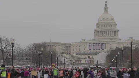 Capital Protest - Womens March Stock Footage 81252909