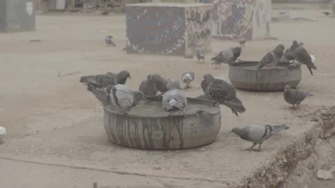 The Capital of Sudan Stock Footage 247517451