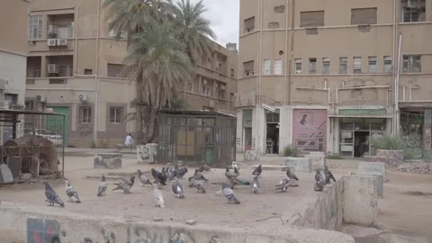 The Capital of Sudan Video stock 247573155