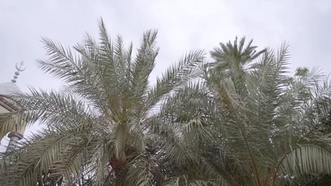 The Capital of Sudan Stock Footage 247574424