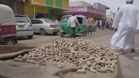 The Capital of Sudan Stock Footage 247574564