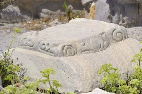 Capitel of column. Stock Photos