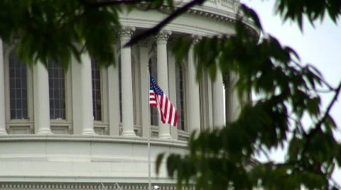 Capitol Building Flag HD Video stock 544573
