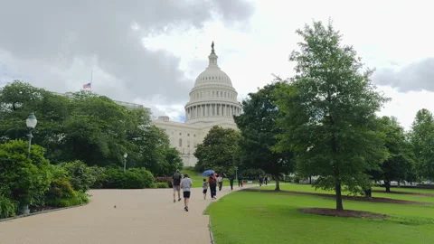 Capitol building framed by trees on green lawn Stock Footage 320753447
