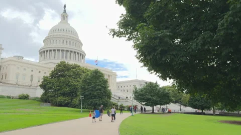 Capitol building framed by trees on green lawn Stock Footage 320753610