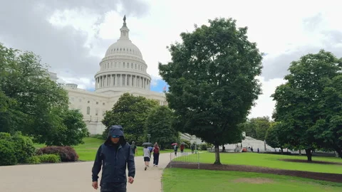 Capitol building framed by trees on green lawn Stock Footage 320754348