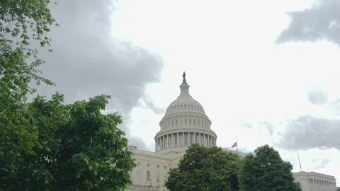 Capitol building framed by trees on green lawn Stock Footage 320798909