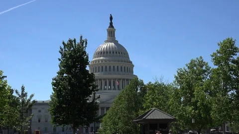 The Capitol Building, is the home of the U S Congress Stock Footage 82633889