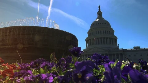 The Capitol Building, is the home of the U S Congress Stock Footage 82658670