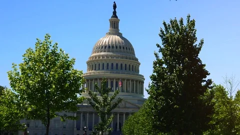 The Capitol Building, is the home of the U S Congress Stock Footage 82659023