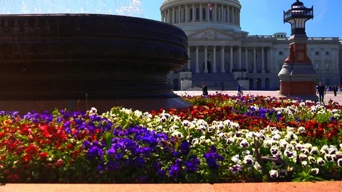 The Capitol Building, is the home of the U S Congress Stock Footage 82659488
