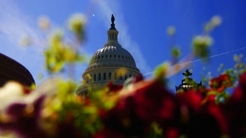 The Capitol Building, is the home of the U S Congress Stock Footage 82659536