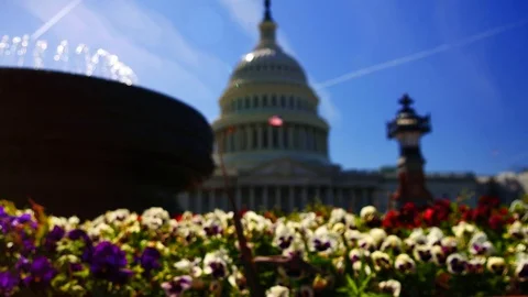 The Capitol Building, is the home of the U S Congress Stock Footage 82659702