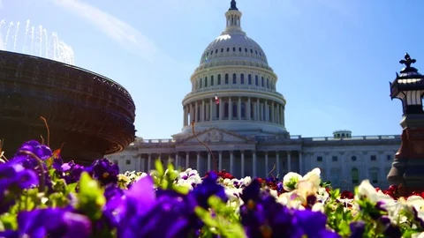The Capitol Building, is the home of the U S Congress Stock Footage 82659835