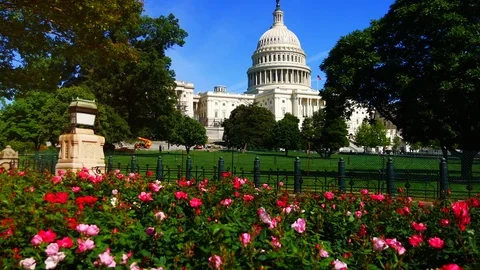 The Capitol Building, is the home of the U S Congress Stock Footage 82659854