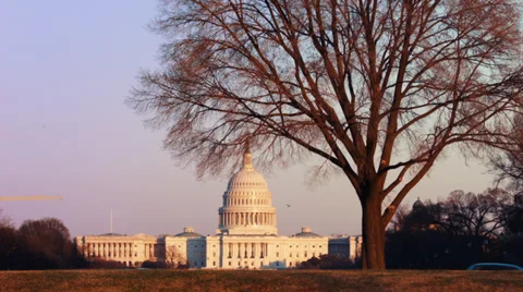 Capitol Building - US Stock Footage 33789575