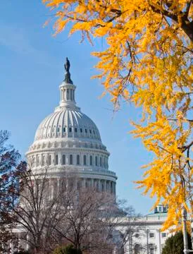 Capitol Building of USA Stock Photos