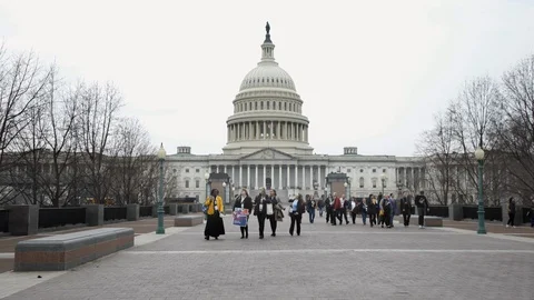 Capitol Building, Washington D.C. (wide shot) Stock Footage 129194302