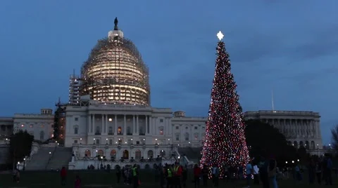 Capitol in DC with christmas tree Stock Footage 58253643