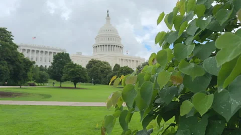 Capitol dome above tree-lined lawn under mixed sky Stock Footage 320752374