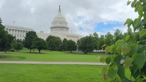 Capitol dome above tree-lined lawn under mixed sky Stock Footage 320768782