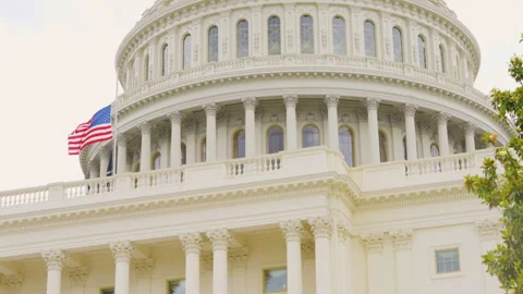 Capitol dome peeks through blooming treetops, blending history and nature in Was Stock Footage 310873142