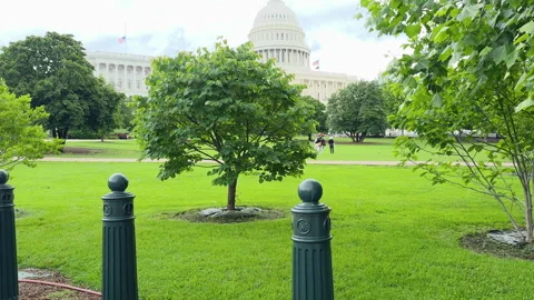 Capitol dome viewed across manicured green landscape Video stock 320752078