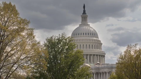 Capitol Hill Medium Shot Spring 4K 10bit 422 스톡 동영상 90061433