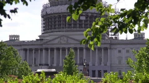Capitol hill Washington DC dome under cintruction trees in the foreground Stock Footage 71122879