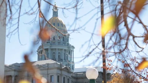 Capitol - Last Leaves Stock Footage 79900262