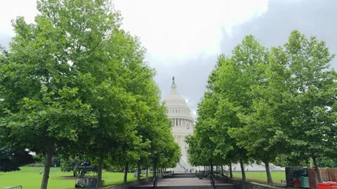 Capitol lawn with trees and visitors on spring day Stock Footage 320744409