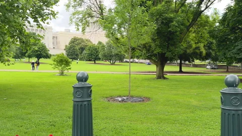 Capitol lawn with trees and visitors on spring day Stock Footage 320752632