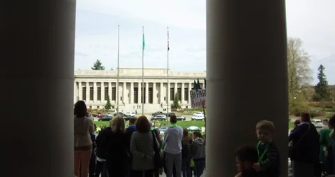 Capitol Protesting Stock Footage 106171316