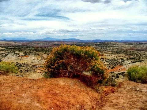 Capitol Reef Stock Photos