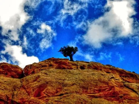Capitol Reef Stock Photos
