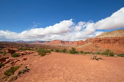 Capitol Reef Stock Photos