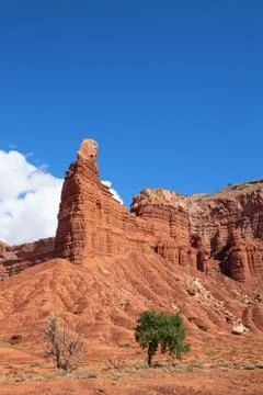 Capitol Reef Stock Photos