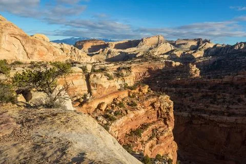 Capitol Reef Stock Photos
