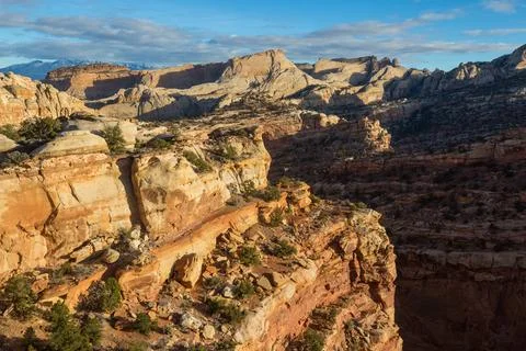 Capitol Reef Stock Photos