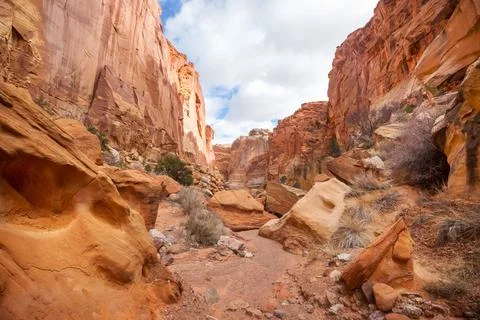 Capitol Reef Stock Photos