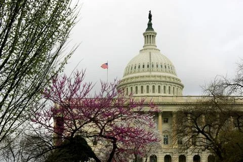 The Capitol in Spring Stock Photos