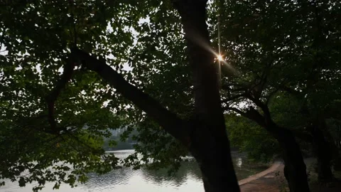 Capitol Tidal Basin, DC- Sun through trees Stock Footage 157548909