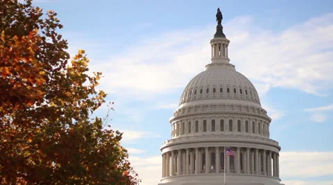 Capitol in Washington DC Stock Footage 50160512