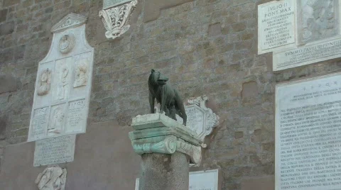 Capitoline She-wolf in Rome Stock Footage 526477