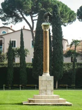 Capitoline wolf Statue Stock Photos