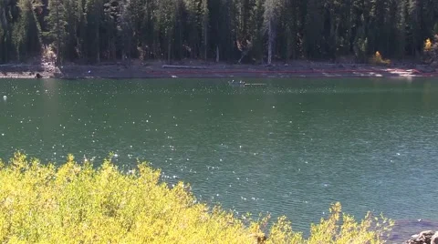 Caples 7.m2ts Video stock 42610164