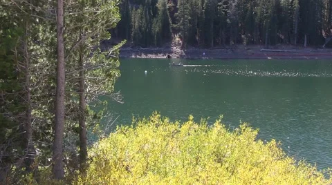 Caples 8.m2ts Video stock 42609812