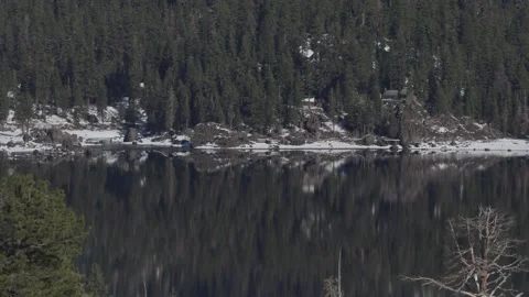 Caples Lake Winter Forest Reflection Stock Footage 144121656