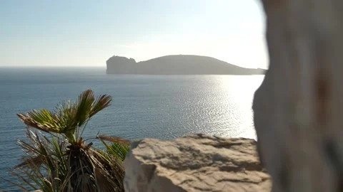 Capo caccia Video stock 151600676